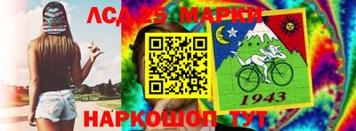гидропоника Будённовск