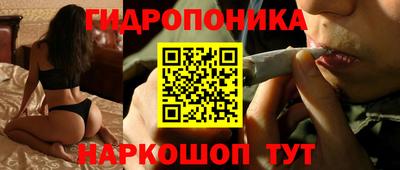 гидропоника Будённовск