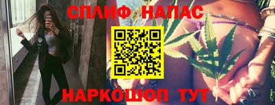 гидропоника Будённовск