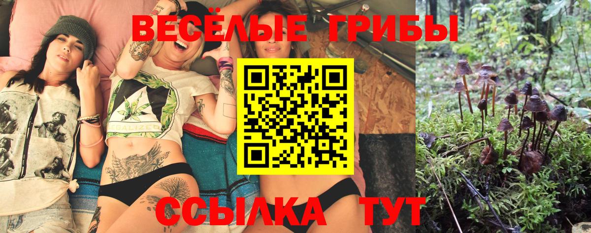 Галлюциногенные грибы ЛСД  Вход с VPN  Тулун 
