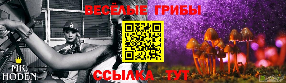 Псилоцибиновые грибы Cubensis Тулун